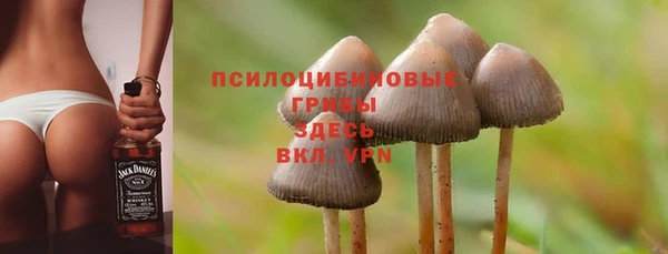 сатива Алексин