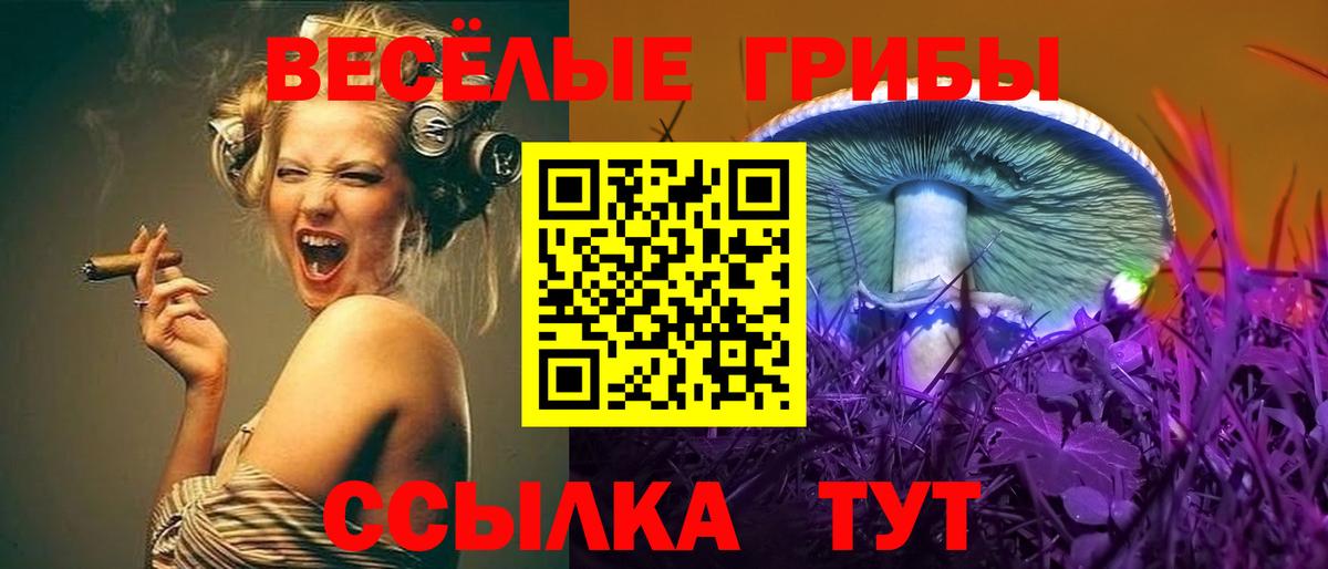 Псилоцибиновые грибы Psilocybine cubensis  Галлюциногенные грибы Cubensis  Вход с VPN  Кириши 