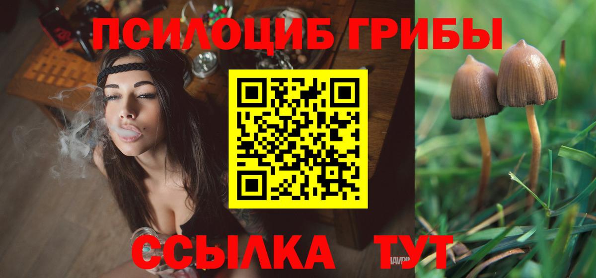 Псилоцибиновые грибы GOLDEN TEACHER Кириши